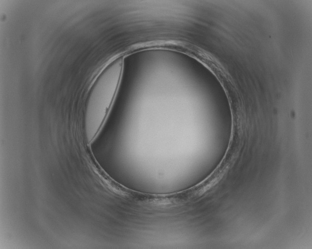 X0000072511177200607140905