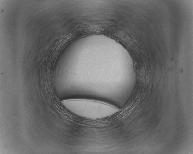 X0000072511201200607140903