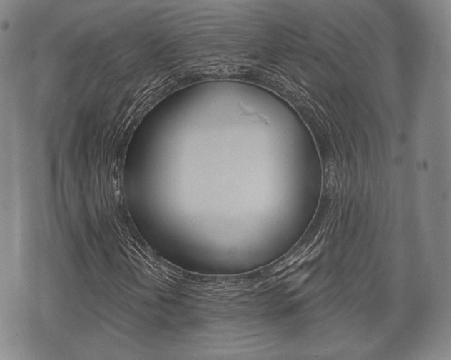 X0000072511202200607140903