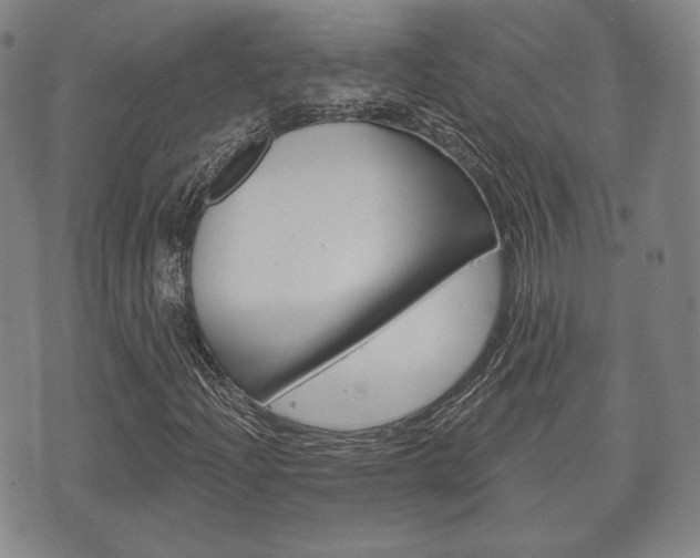 X0000072511204200607140903