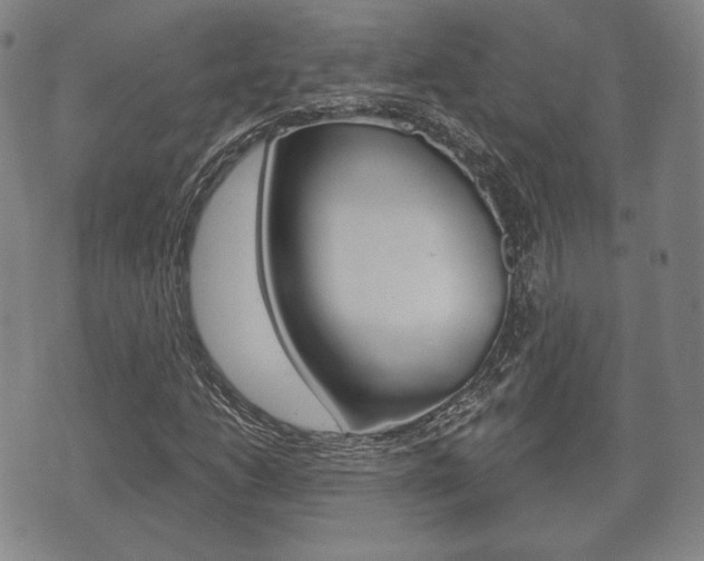 X0000072511206200607140903