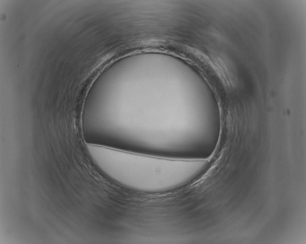 X0000072511209200607140904