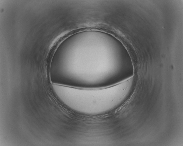 X0000072511214200607140904