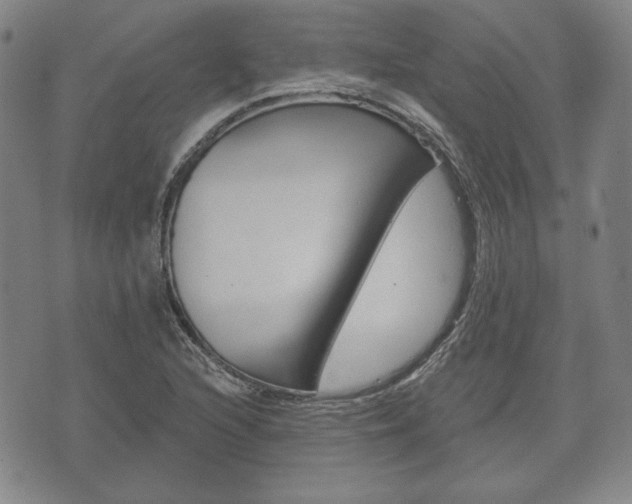 X0000072511216200607140904
