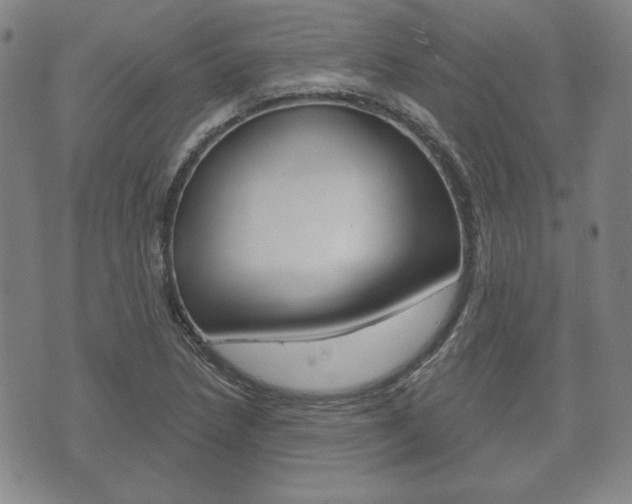 X0000072511218200607140904