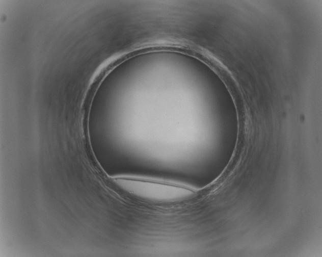 X0000072511222200607140904