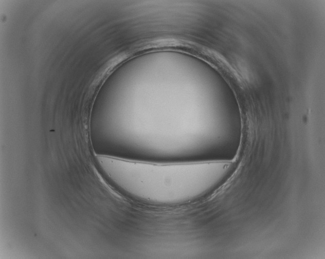 X0000072511225200607140904