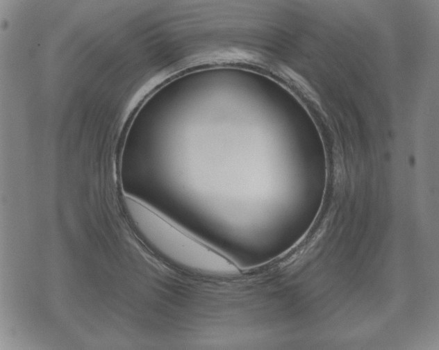 X0000072511226200607140904