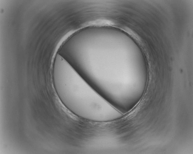 X0000072511248200607140904
