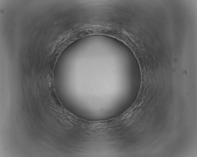 X0000072511253200607140903