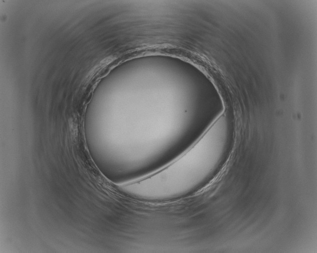X0000072511257200607140903