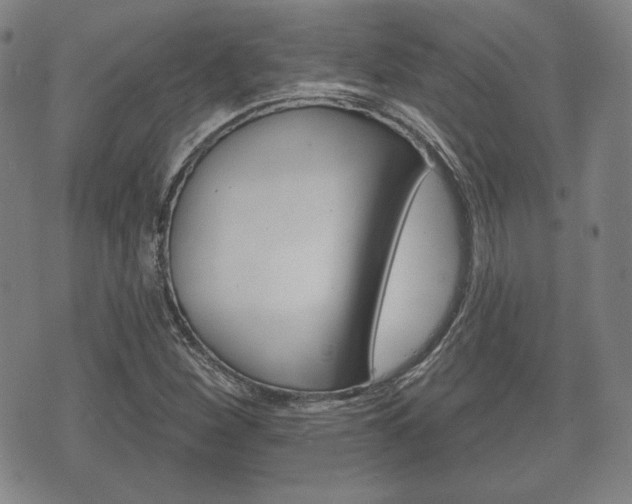 X0000072511260200607140903