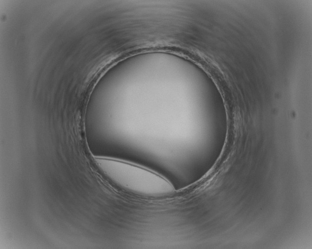 X0000072511265200607140903