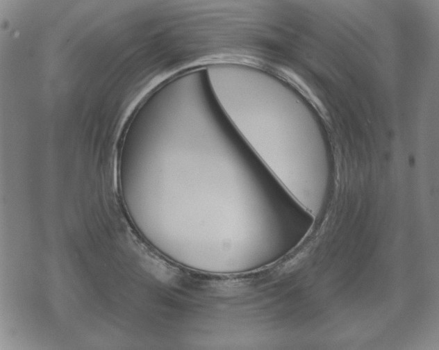 X0000072511276200607140903