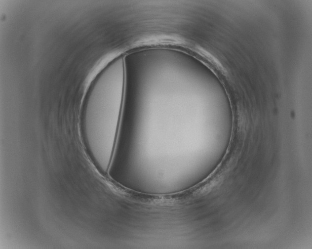 X0000072511277200607140903