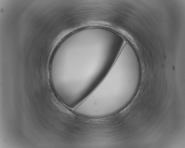 X0000072511280200607140903