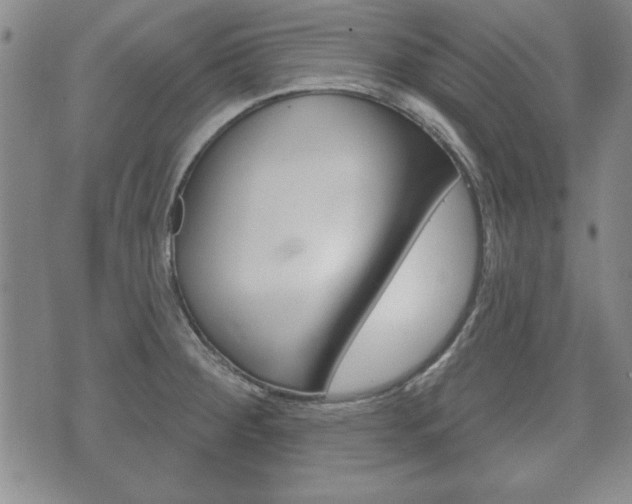 X0000072511284200607140903