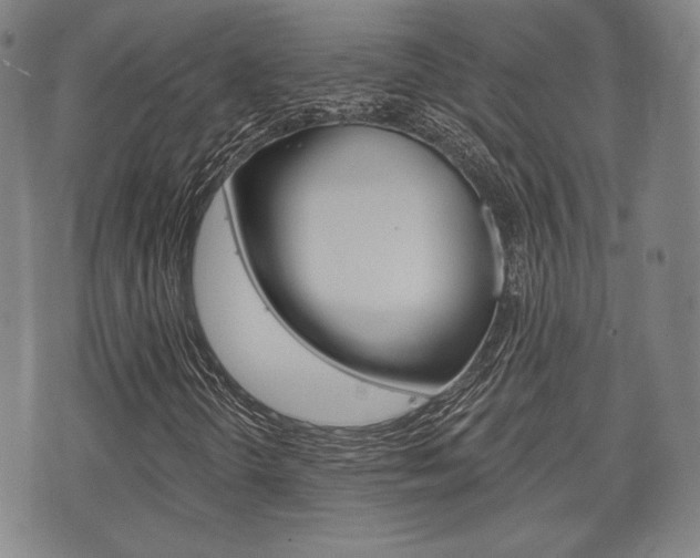 X0000072511298200607140902