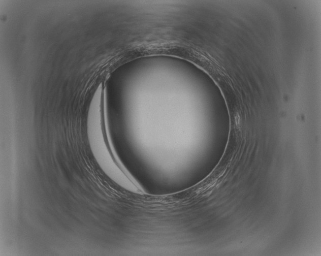 X0000072511300200607140902