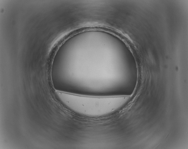 X0000072511311200607140902