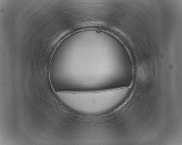 X0000072511313200607140902