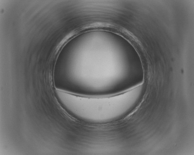 X0000072511321200607140902