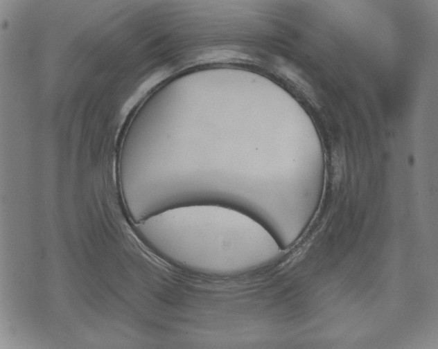 X0000072511322200607140902