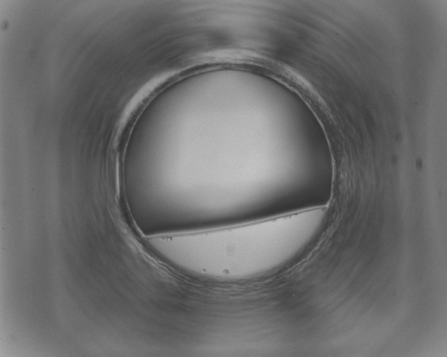 X0000072511323200607140902