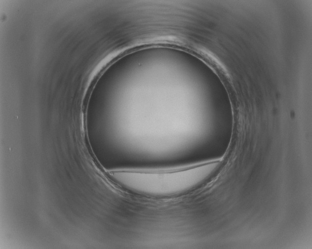X0000072511324200607140902