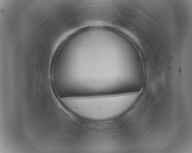 X0000072511327200607140902