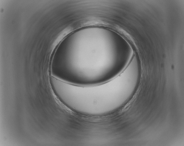 X0000072511330200607140902