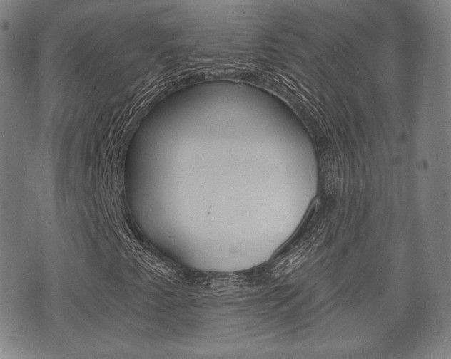 X0000072511345200607140902