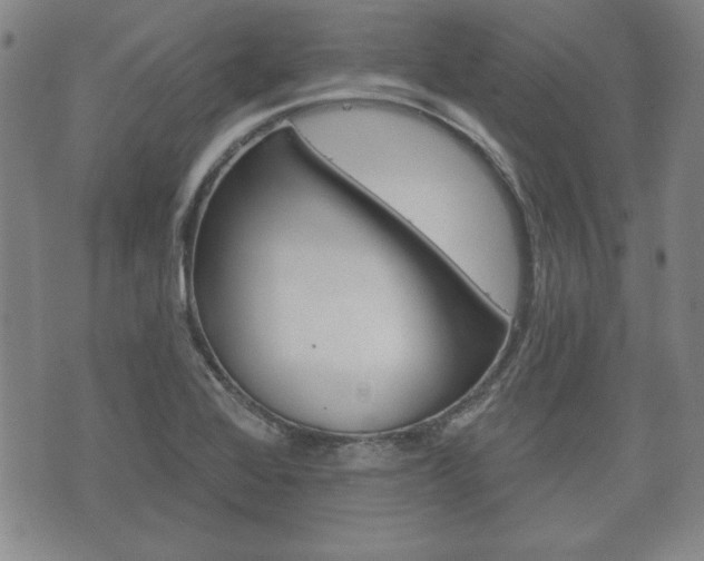X0000072511368200607140901