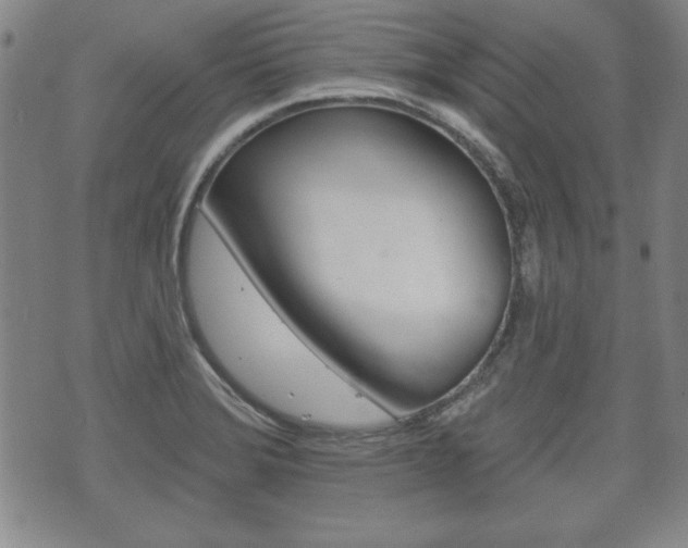 X0000072511372200607140901