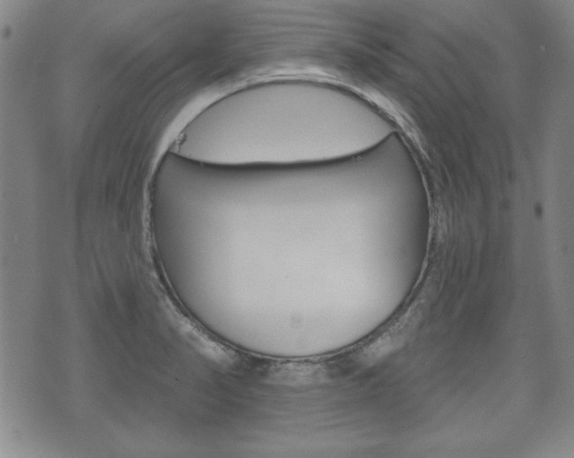 X0000072511374200607140901