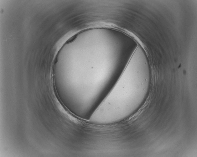 X0000072511387200607140901