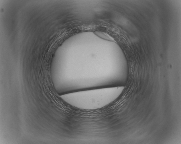 X0000072511393200607140900