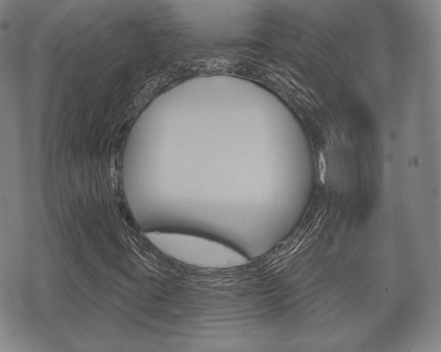 X0000072511395200607140900