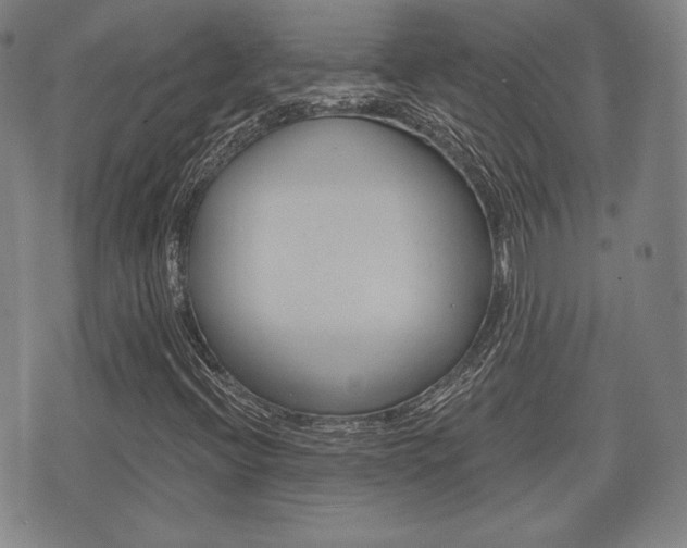 X0000072511396200607140900