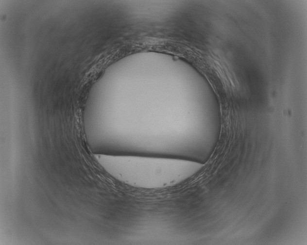 X0000072511397200607140900
