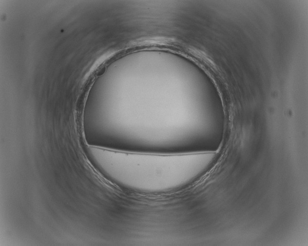 X0000072511404200607140900
