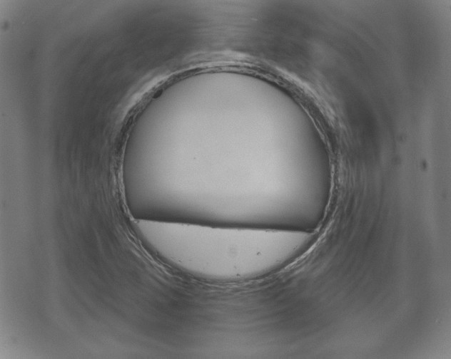 X0000072511407200607140901