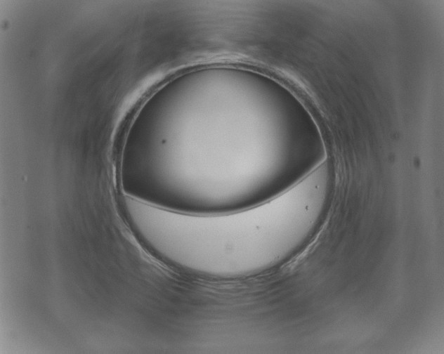 X0000072511414200607140901