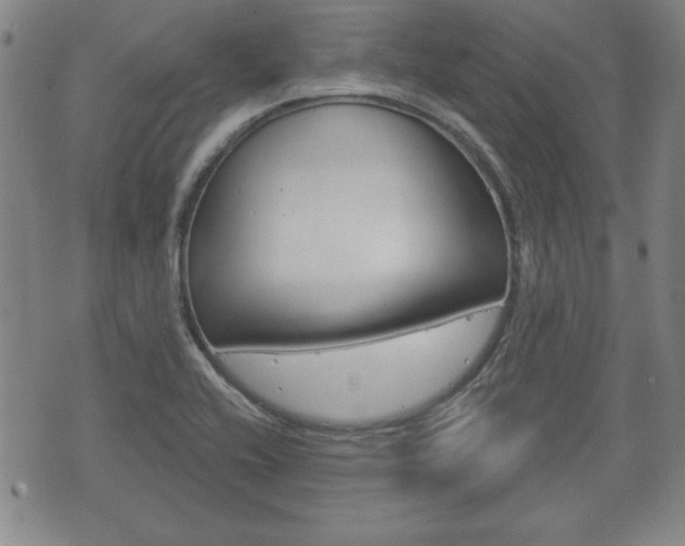 X0000072511416200607140901