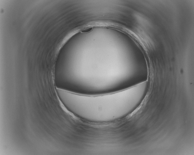 X0000072511433200607140901