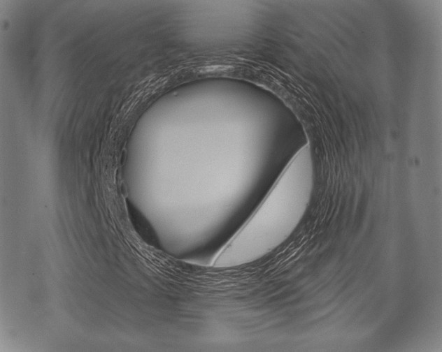 X0000072511441200607140900