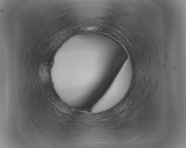 X0000072511442200607140900
