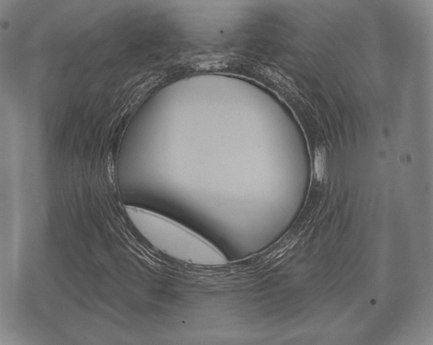 X0000072511444200607140900