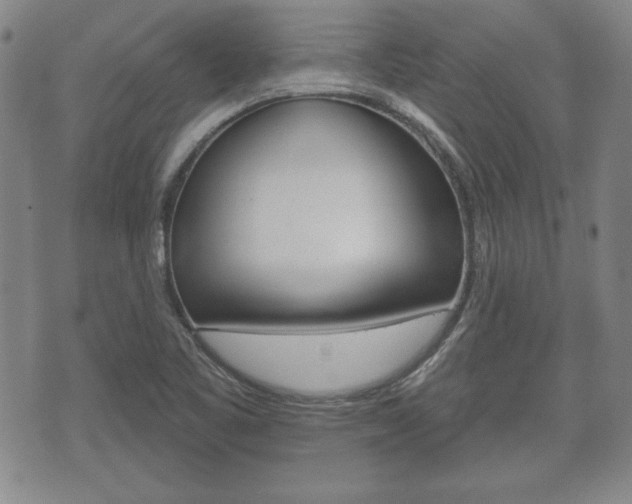 X0000072511461200607140900