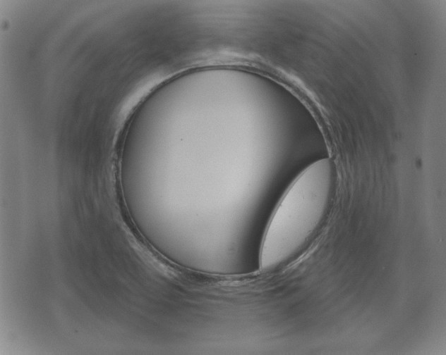 X0000072511463200607140900